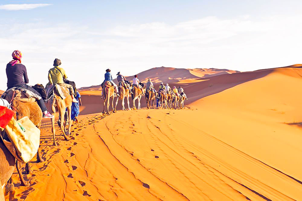 Safari nel Deserto